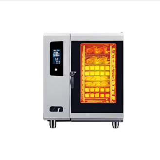 Multi functional steam oven