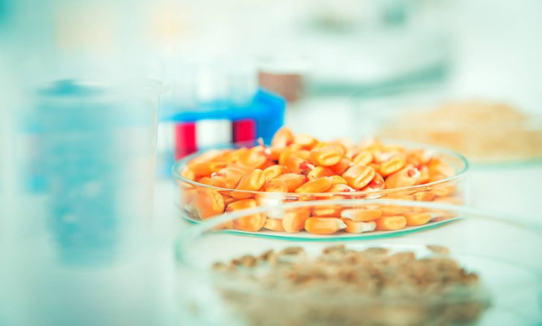Food Processing Industry Guide